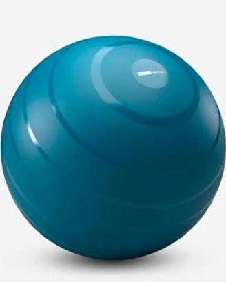 Fitball palla per fitness