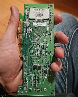Scheda video NVIDIA GeForce FX 5200 128 Mb