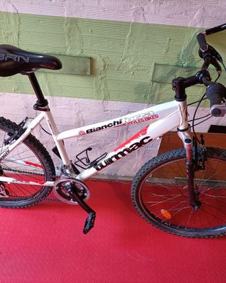 Mountain bike