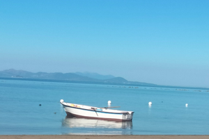 VILLA INDIPENDENTE 200mt dal MARE Follonica ?