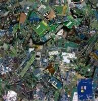 schede madri telefoni