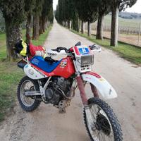 Honda XR600