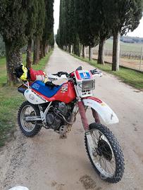 Honda XR600
