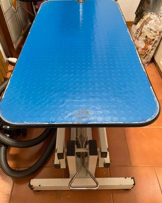 Tavolo da toelettatira professionale