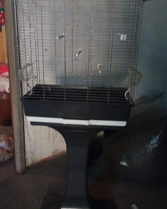 gabbia per uccellini
