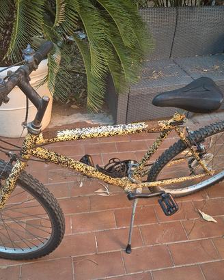 Bicletta 
