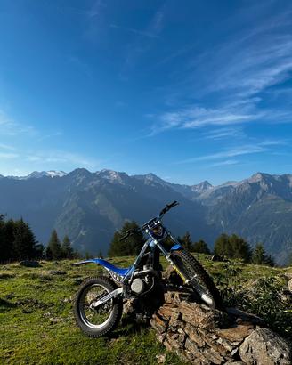 TRIAL SHERCO S1 290