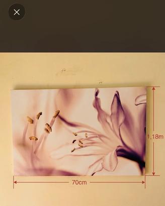 Quadro moderno fiore orizzontale/verticale