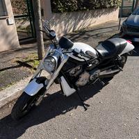 Harley v-rod street rod