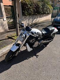 Harley v-rod street rod