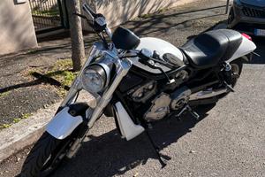 Harley v-rod street rod