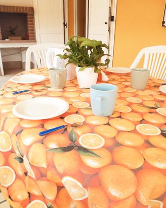 Appartamento per locazioni al mare Z10219/027013-L