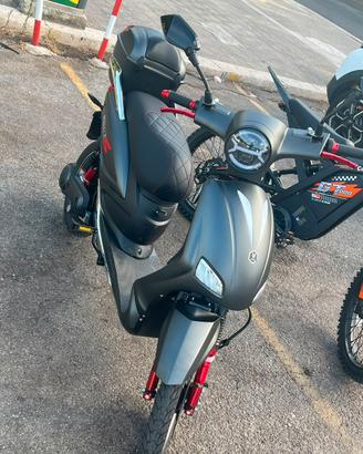 Vitale Sport 2026