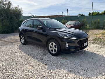 Ford Kuga 1.5 EcoBlue 120 CV 2WD Connect