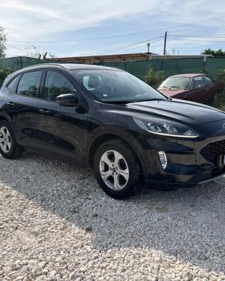 Ford Kuga 1.5 EcoBlue 120 CV 2WD Connect
