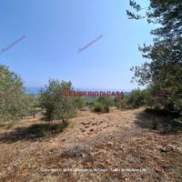 Terreno, Altavilla Milicia.