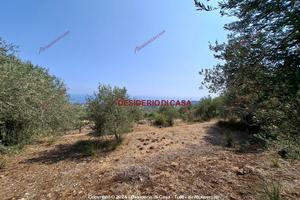 Terreno, Altavilla Milicia.