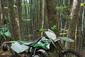 Kawasaki 250
