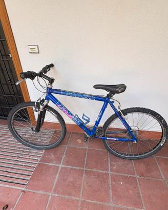 Mountain bike