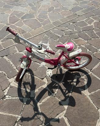 Bicicletta