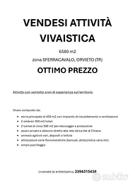 Attività vivaistica