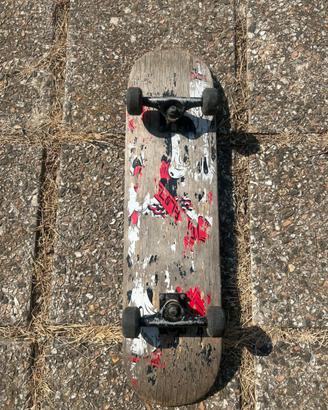 Skateboard