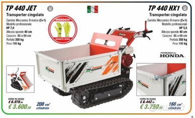 Motocariola cingolata