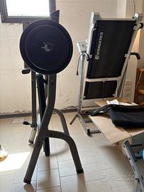 Palestra