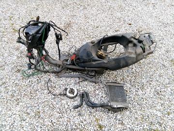 Telaio Malaguti Phantom F12R 50 a liquido +ricambi