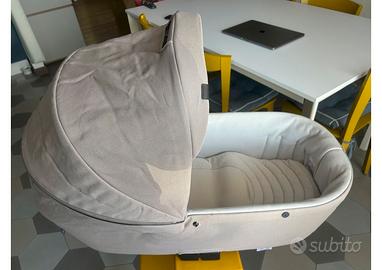 Duo Inglesina aptica, anno 2023