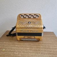 fisarmonica cromatica crosio 96 bassi con cassotto