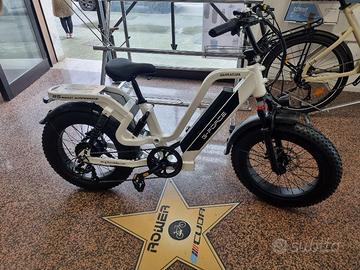 bicicletta elettrica