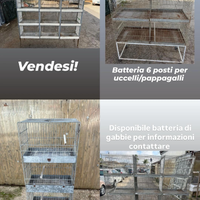 Batteria di gabbie