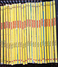 Fumetti TOPOLINO e altri