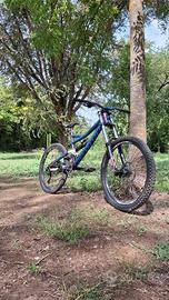 DH SPECIALIZED STATUS 2012