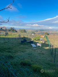 Casa singola del 2016 con giardino al ghettarello