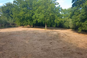 terreno pianeggiante