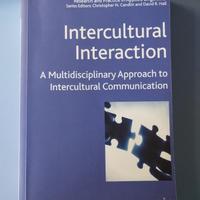 libro Intercultural Interaction, ed. Palgrave..