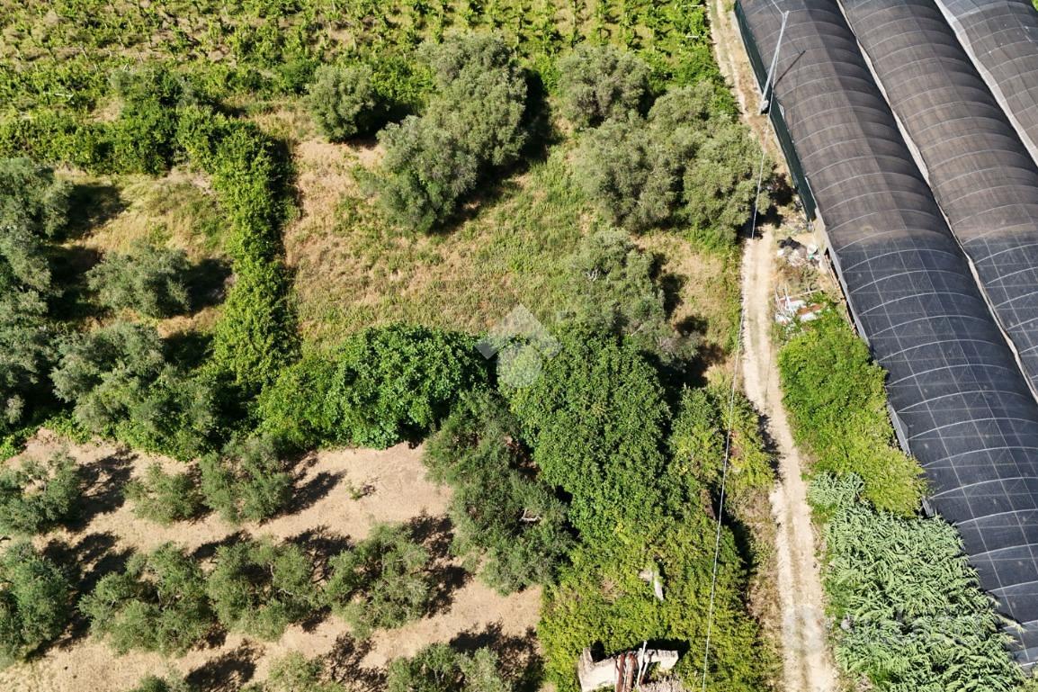 TER. RESIDENZIALE A FRANCAVILLA AL MARE - Vista 3