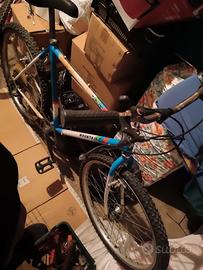 bici da passeggio 