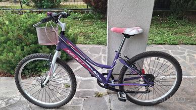 bicicletta  