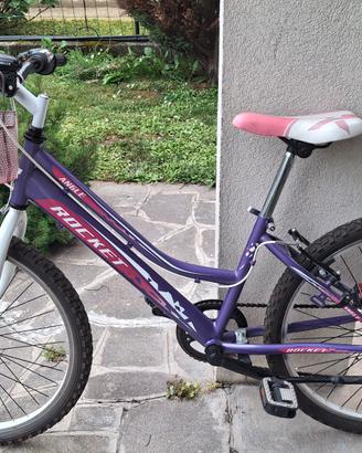 bicicletta  