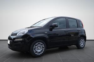 FIAT Pandina 1.0 65cv Hybrid Icon