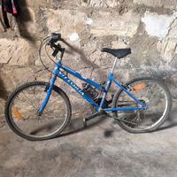 Mountain bike bicicletta blu