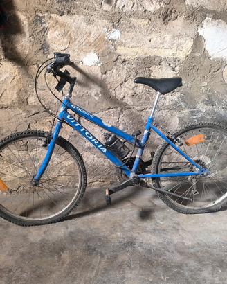 Mountain bike bicicletta blu