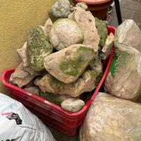 Pietre ornamentali da giardino