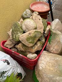 Pietre ornamentali da giardino