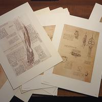 Leonardo da Vinci opere e disegni