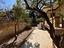 Immagine 25