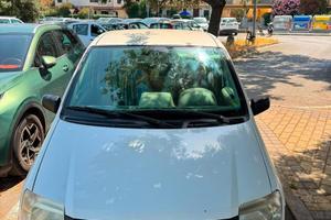Panda 4x4